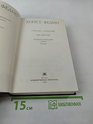 Необыкновенное лето. Роман