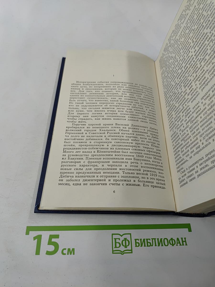 Необыкновенное лето. Роман