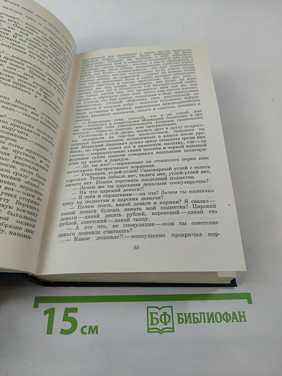 Необыкновенное лето. Роман