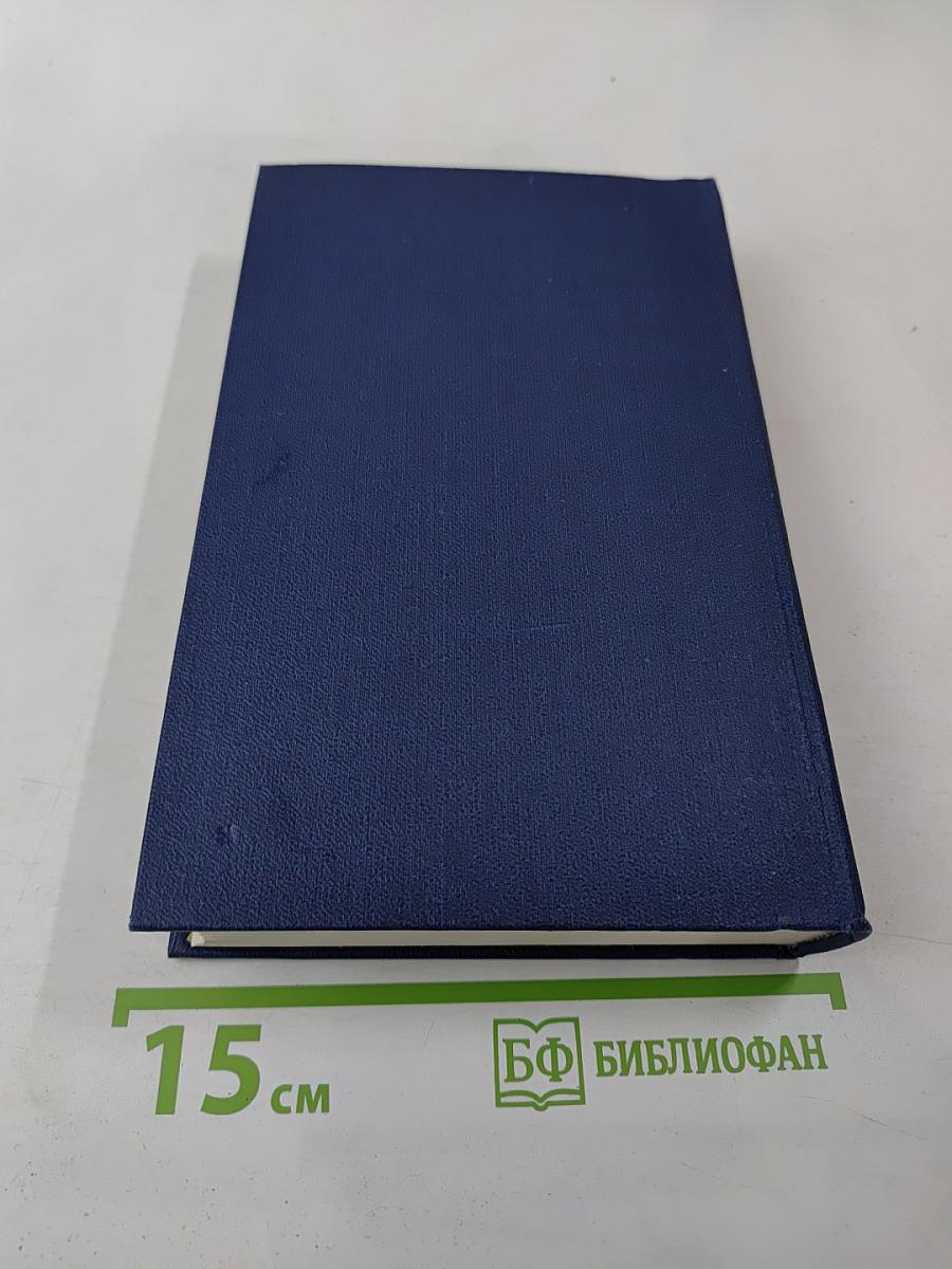 Необыкновенное лето. Роман