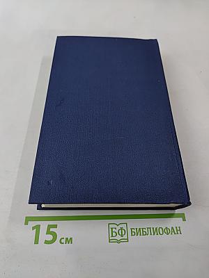 Необыкновенное лето. Роман