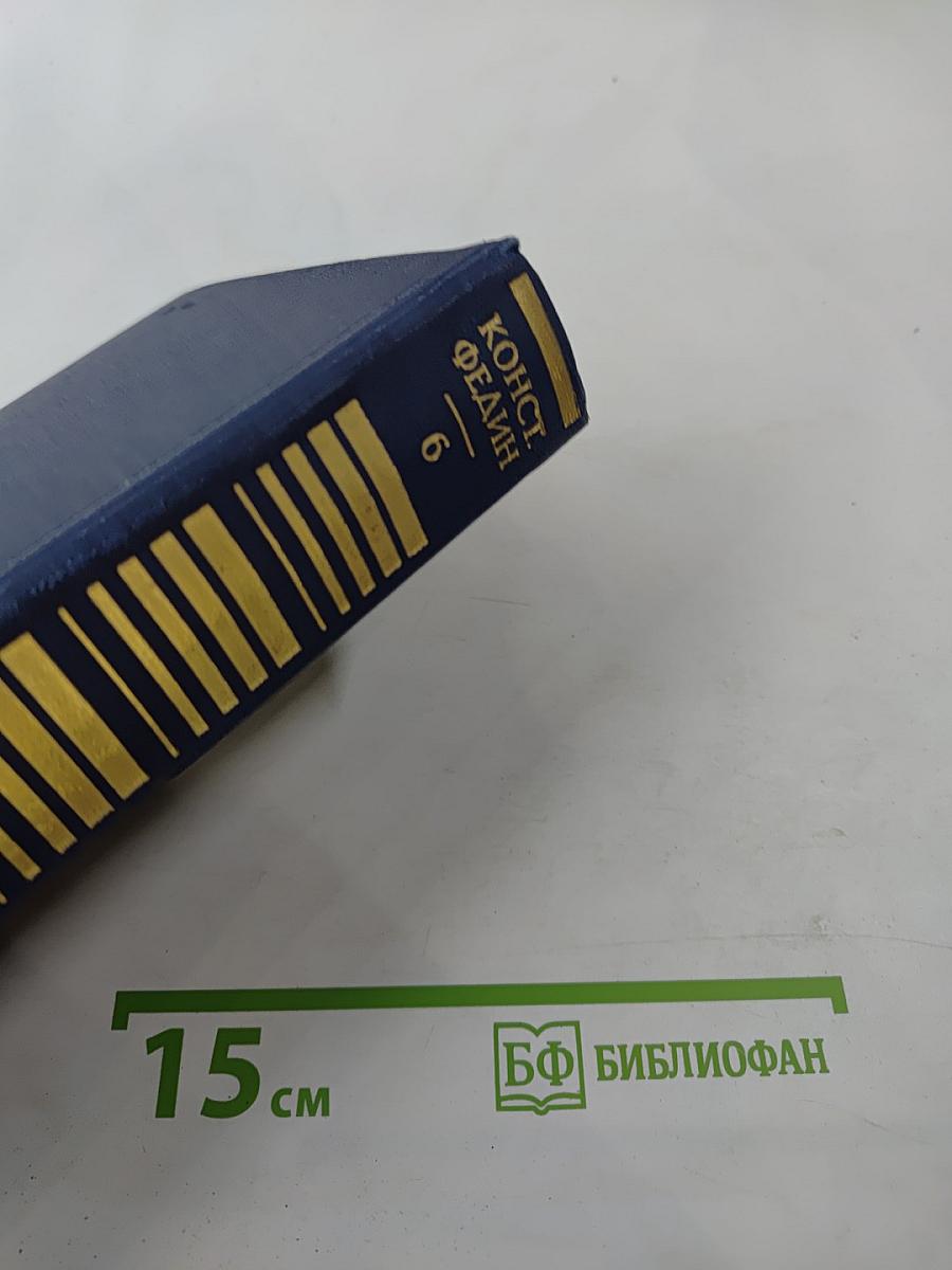 Необыкновенное лето. Роман