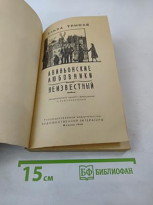Авиньонские любовники. Неизвестный