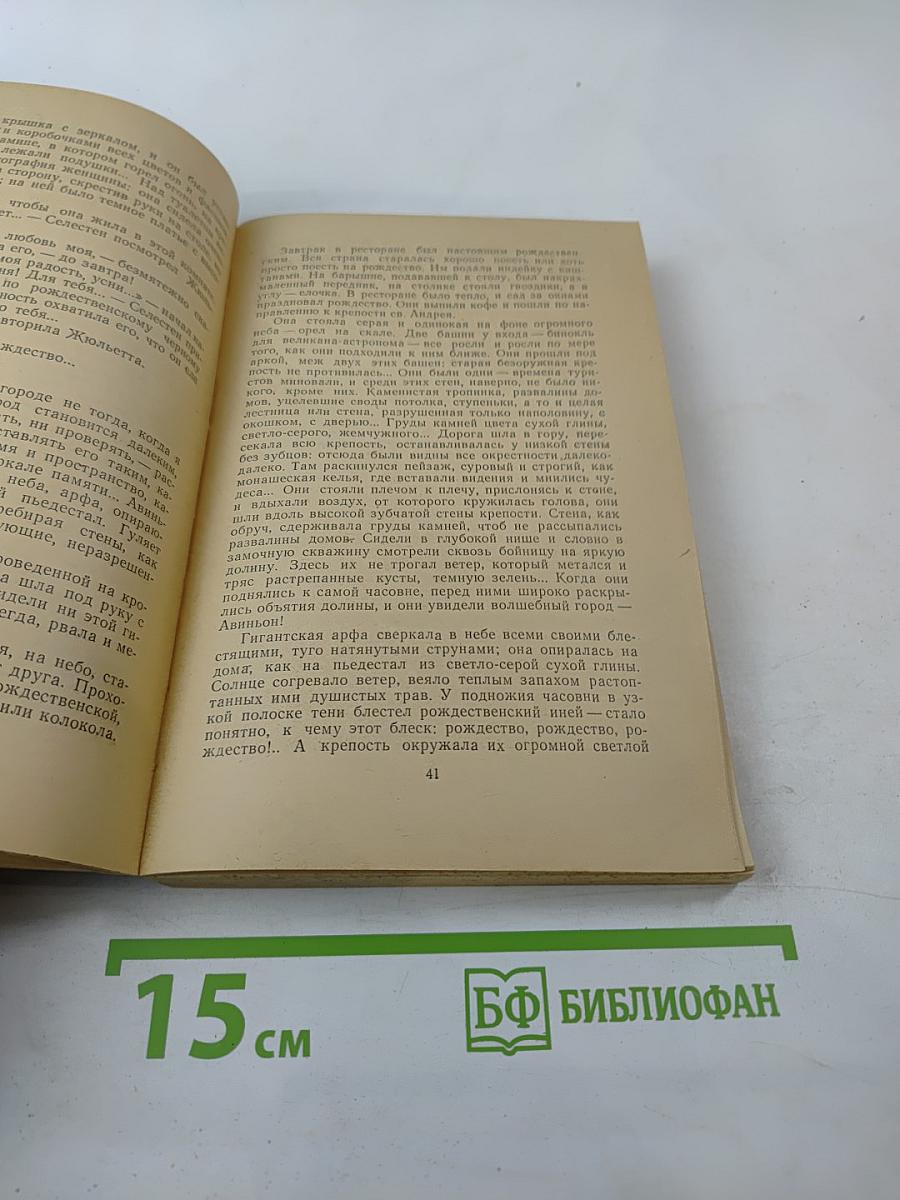 Авиньонские любовники. Неизвестный