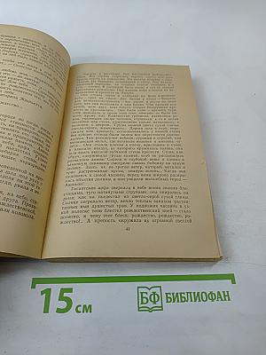 Авиньонские любовники. Неизвестный