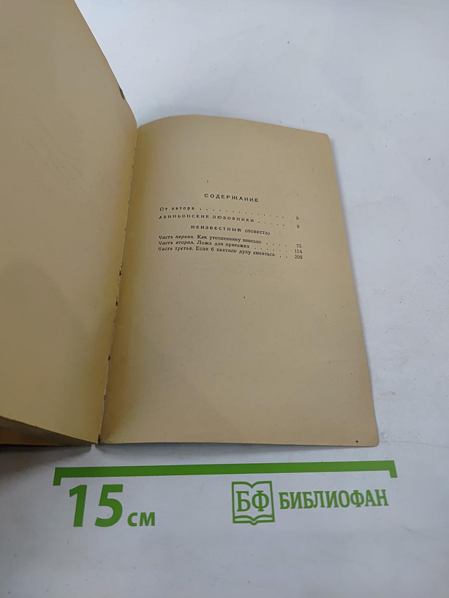 Авиньонские любовники. Неизвестный
