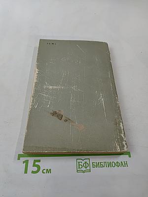 Авиньонские любовники. Неизвестный