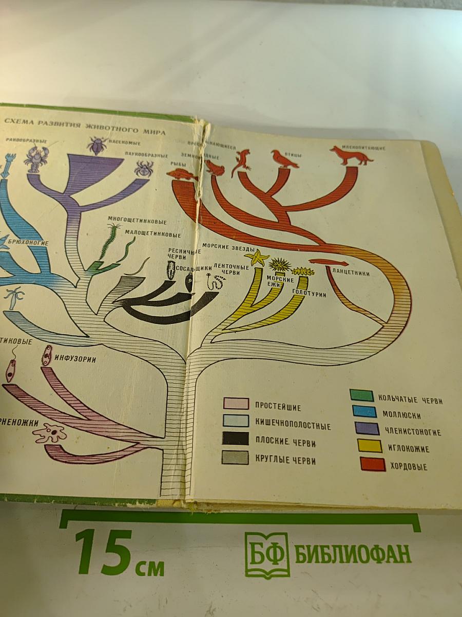 Зоология 6-7