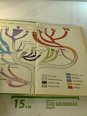 Зоология 6-7