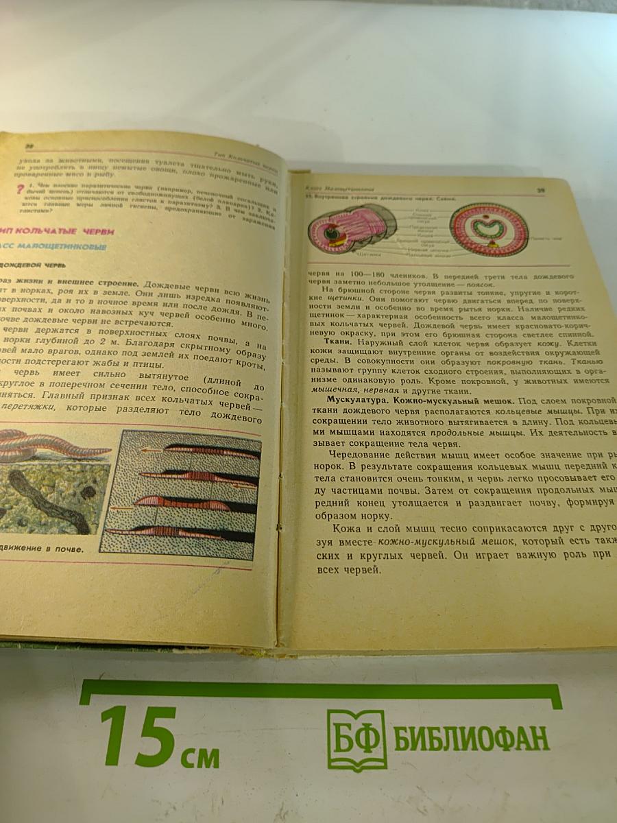 Зоология 6-7