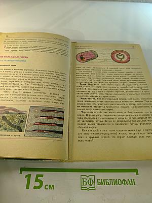 Зоология 6-7