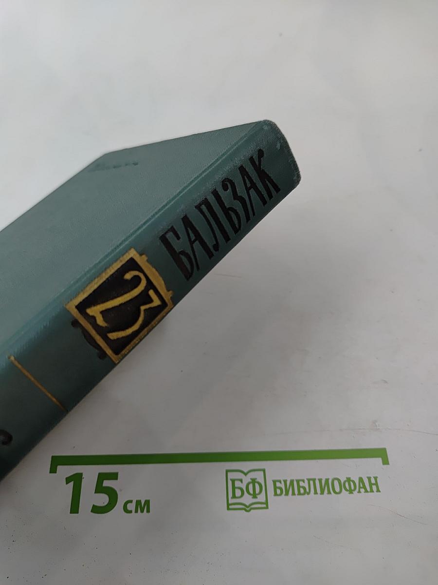 Собрание сочинений в 24 томах. Том 23: Очерки. Письма