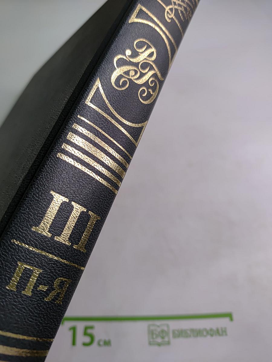 Российский гуманитарный энциклопедический словарь III П-Я