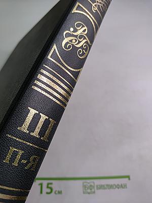 Российский гуманитарный энциклопедический словарь III П-Я