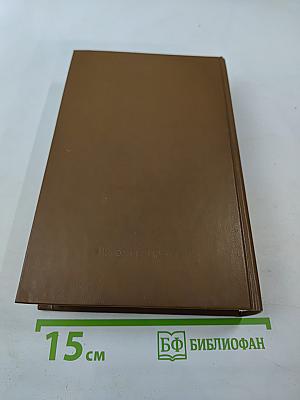 Откуда есть пошла Русская земля. Книга вторая. Происхождение государства. Русь изначальная. Том второй