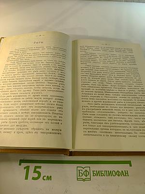 Подарок молодым хозяйкам. Настольная поваренная книга. Скоромный и постный стол.