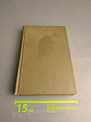 Воскресение. Собрание сочинений. Том тринадцатый