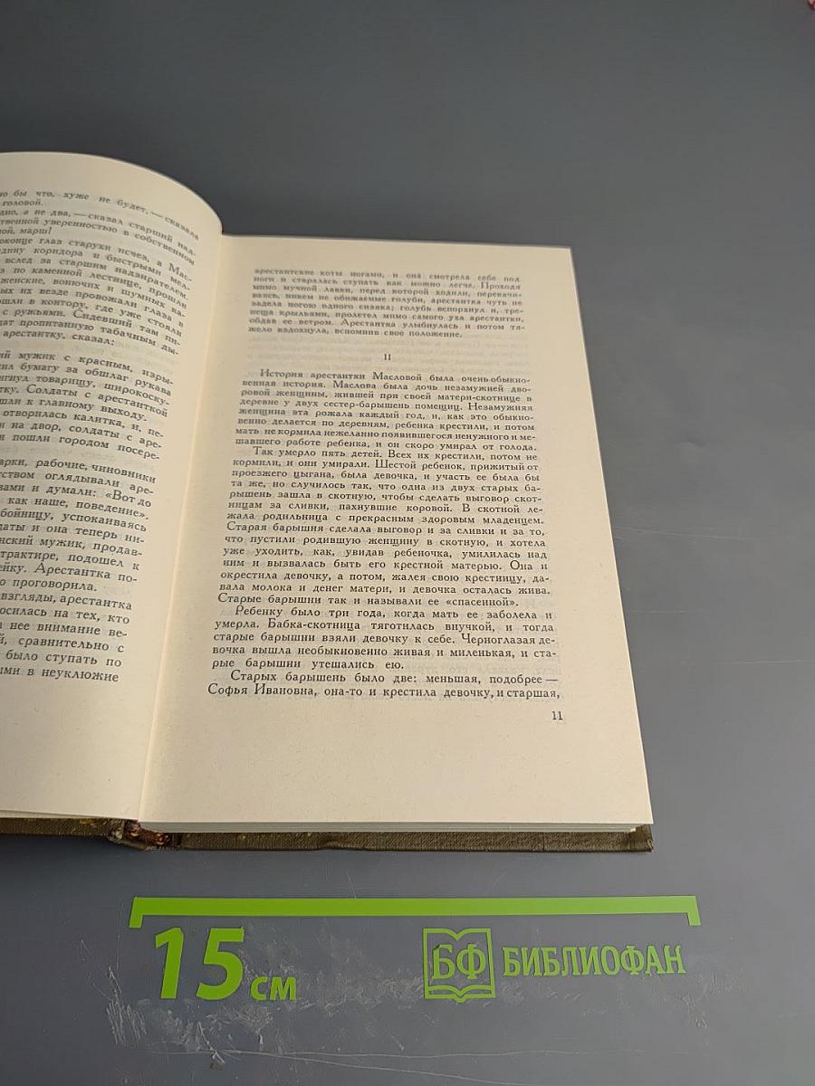 Воскресение. Собрание сочинений. Том тринадцатый