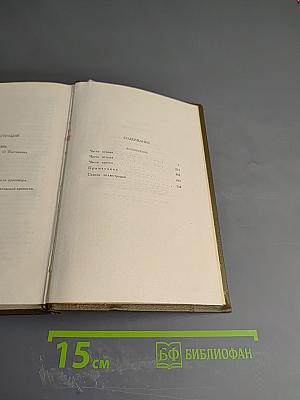 Воскресение. Собрание сочинений. Том тринадцатый