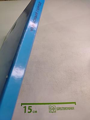 Чудесный город. Петербургская тетрадь