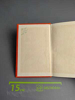 Республика Янтарная