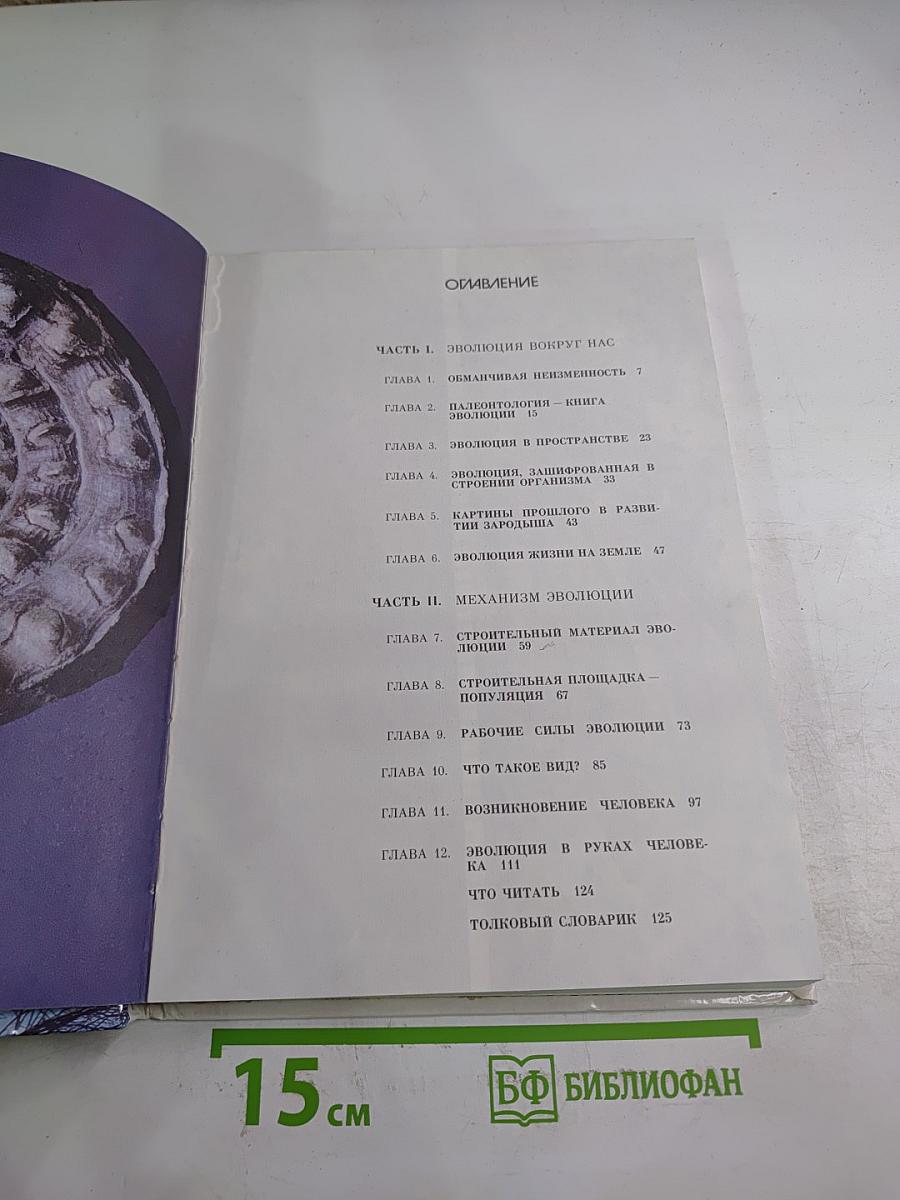 Мир эволюции