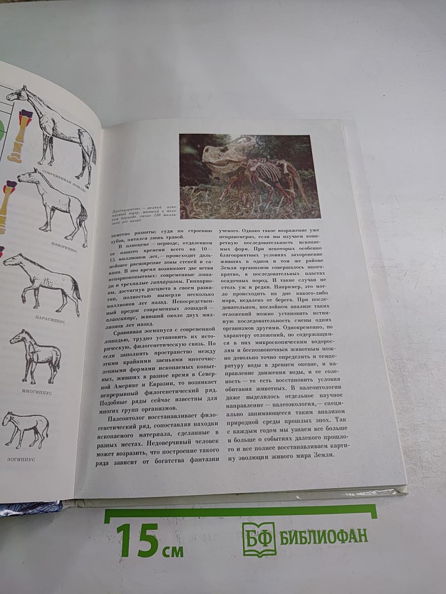 Мир эволюции