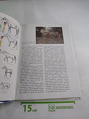 Мир эволюции