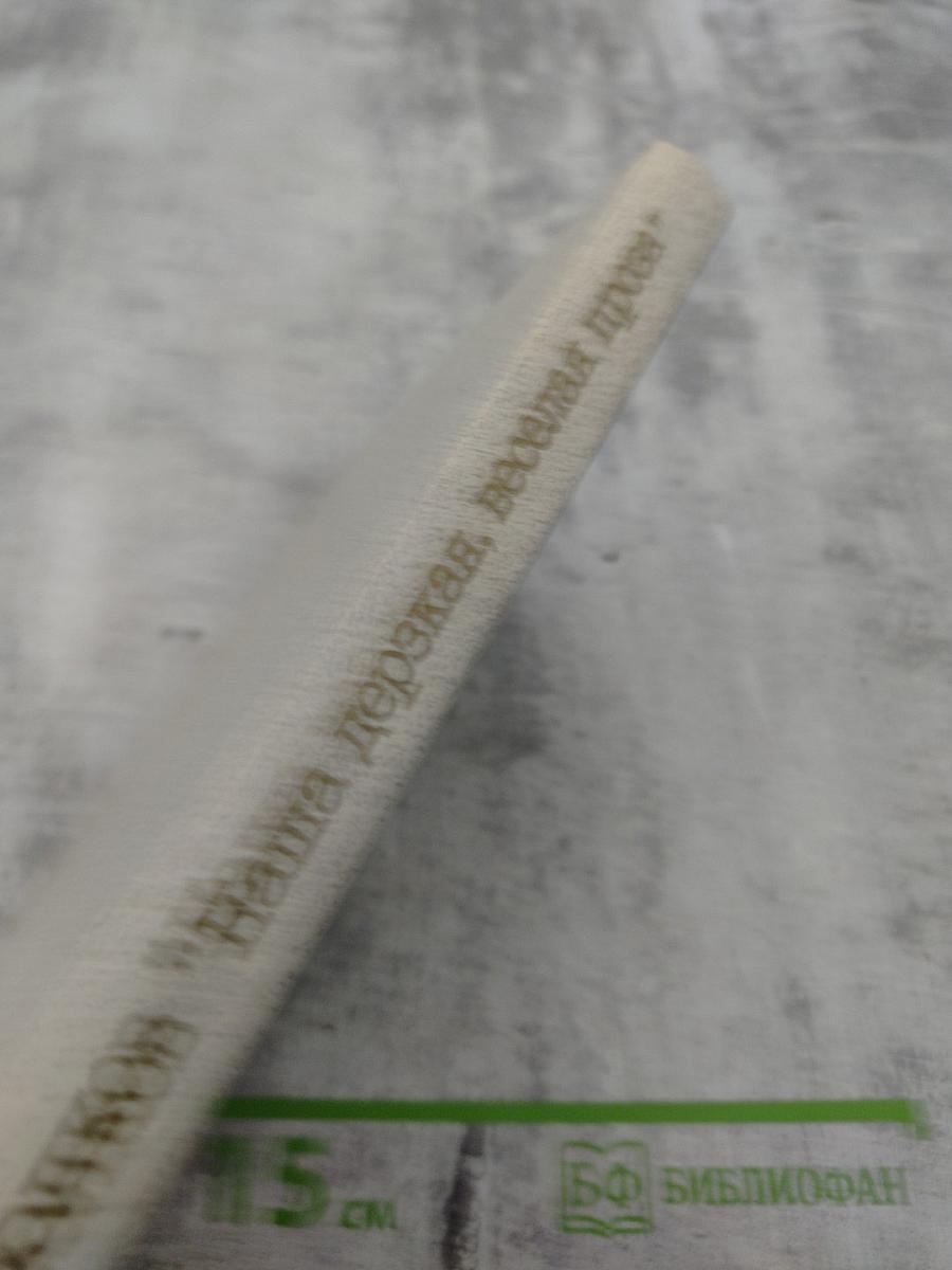 Наша дерзкая, веселая проза