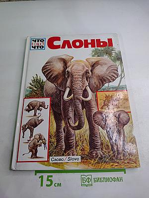 Слоны