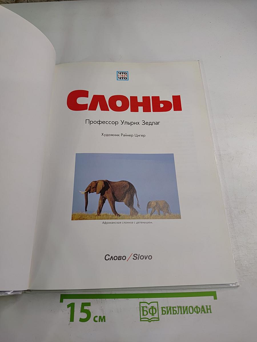 Слоны