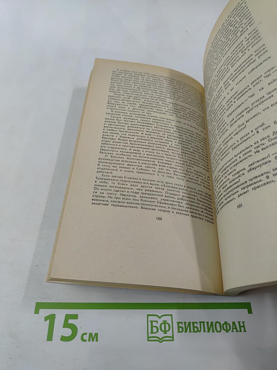 Тайный советник вождя. Книга вторая