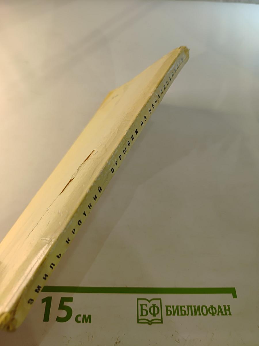 Эмиль Кроткий. Отрывки из ненаписанного