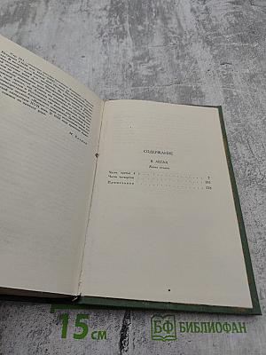 Собрание сочинений в шести томах. Том 3. В лесах. Книга вторая