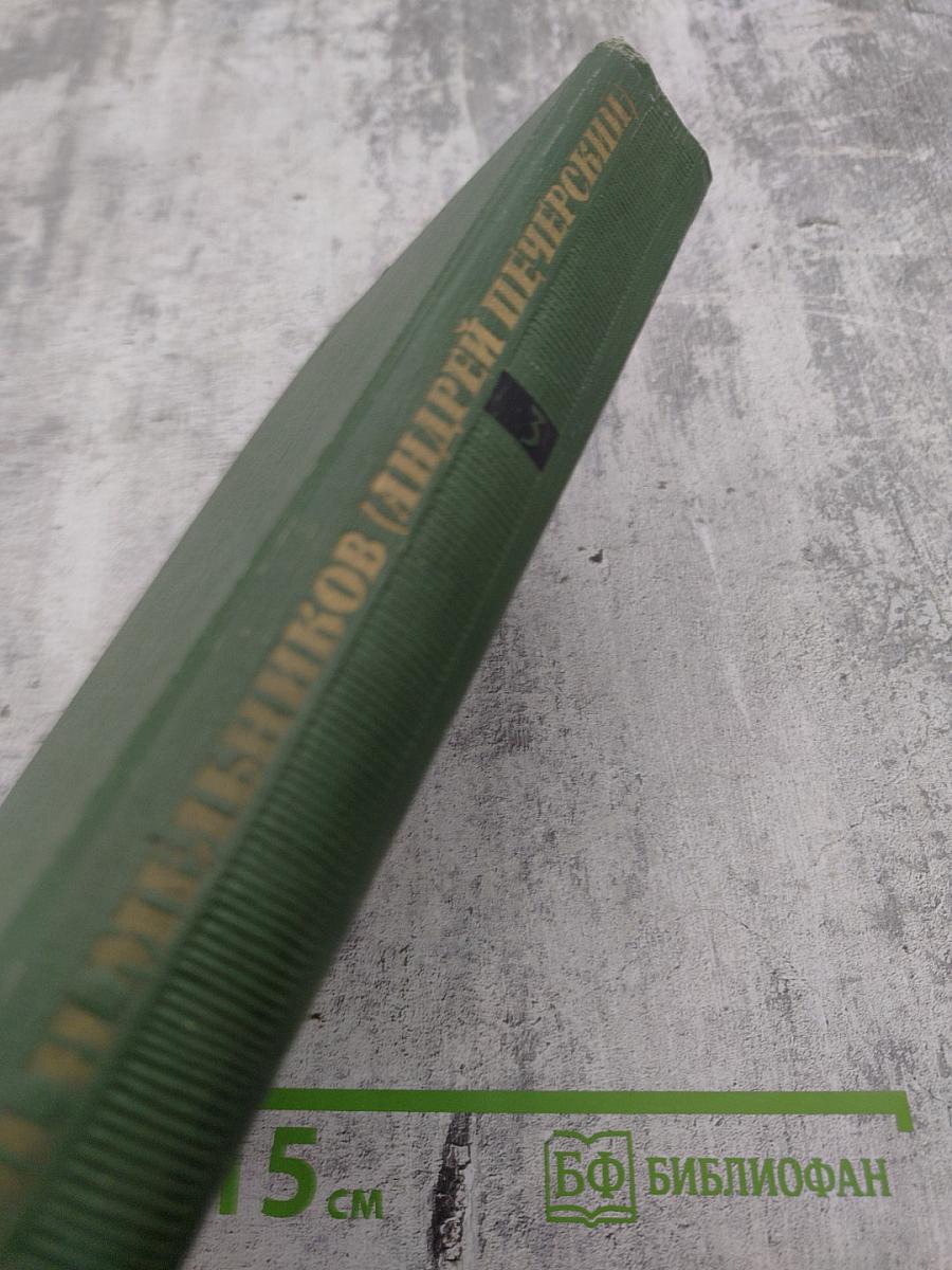 Собрание сочинений в шести томах. Том 3. В лесах. Книга вторая