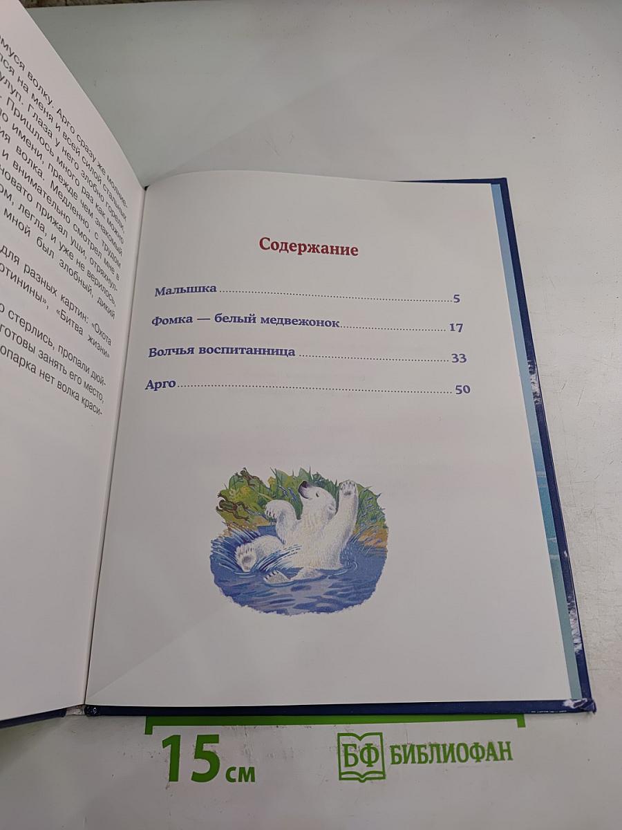 Фомка - белый медвежонок