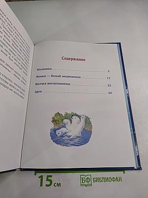 Фомка - белый медвежонок