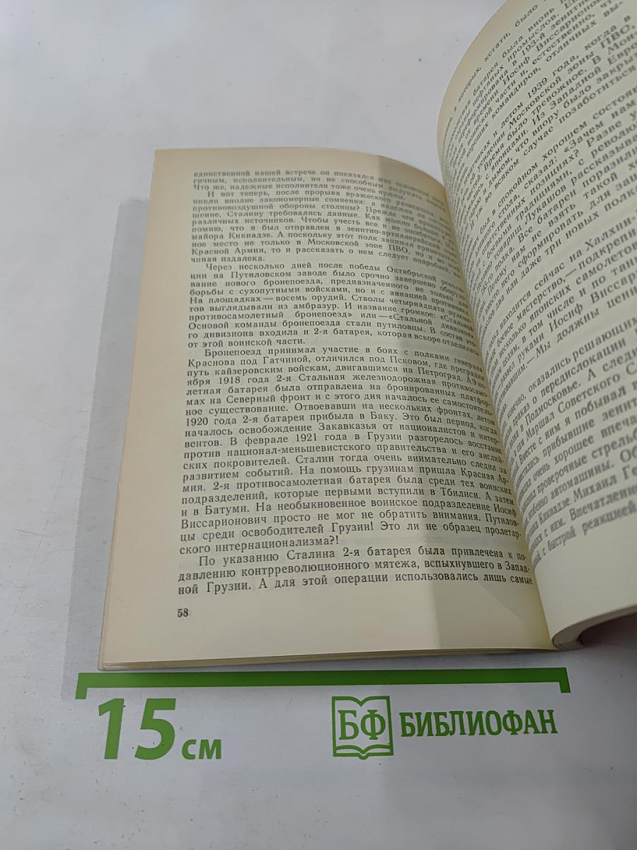 Тайный советник вождя, Книга 3-я