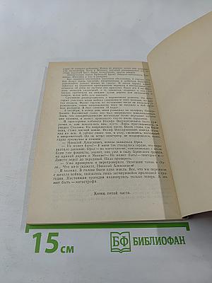 Тайный советник вождя, Книга 3-я