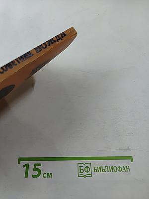 Тайный советник вождя, Книга 3-я