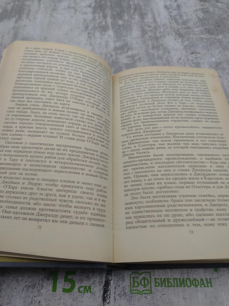 Унесенные ветром. Том 1