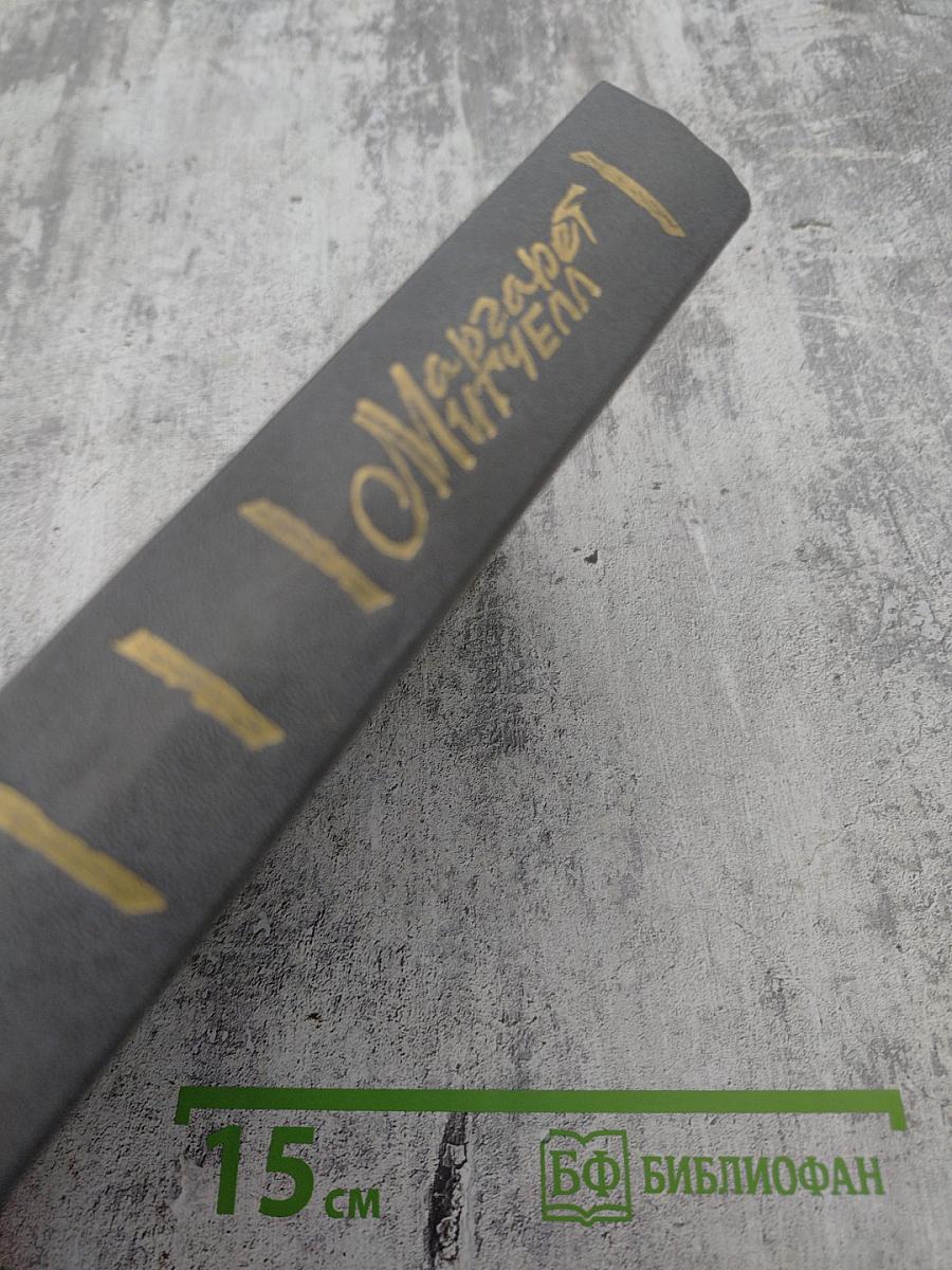 Унесенные ветром. Том 1