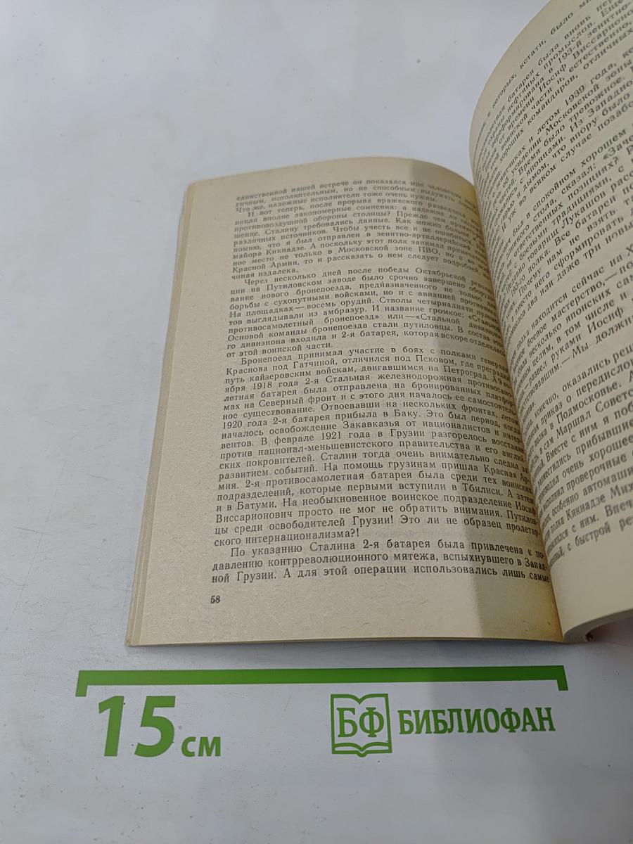 Тайный советник вождя. Книга 3-я