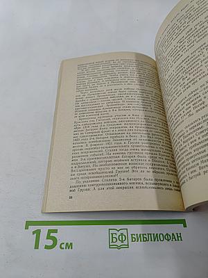 Тайный советник вождя. Книга 3-я