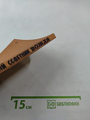 Тайный советник вождя. Книга 3-я