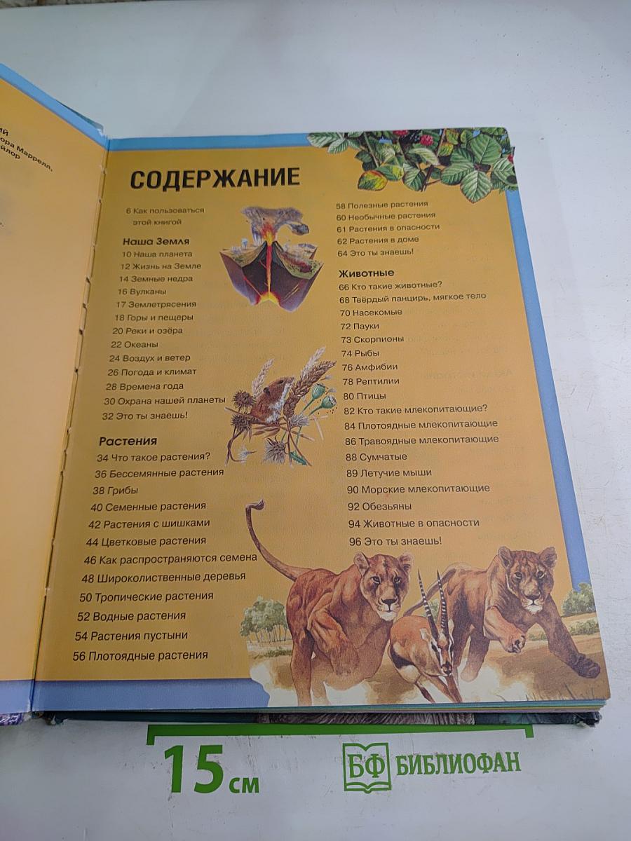 Энциклопедия Необходимых Знаний