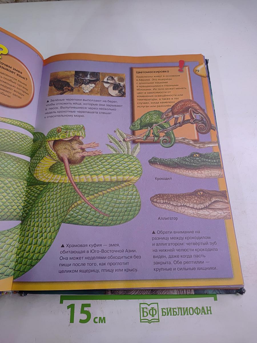 Энциклопедия Необходимых Знаний