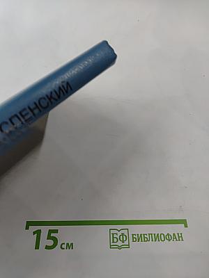 Тайный Советник Вождя. Книга II