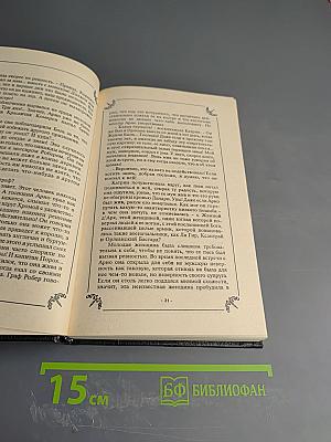 Катрин, графиня де Монсальви