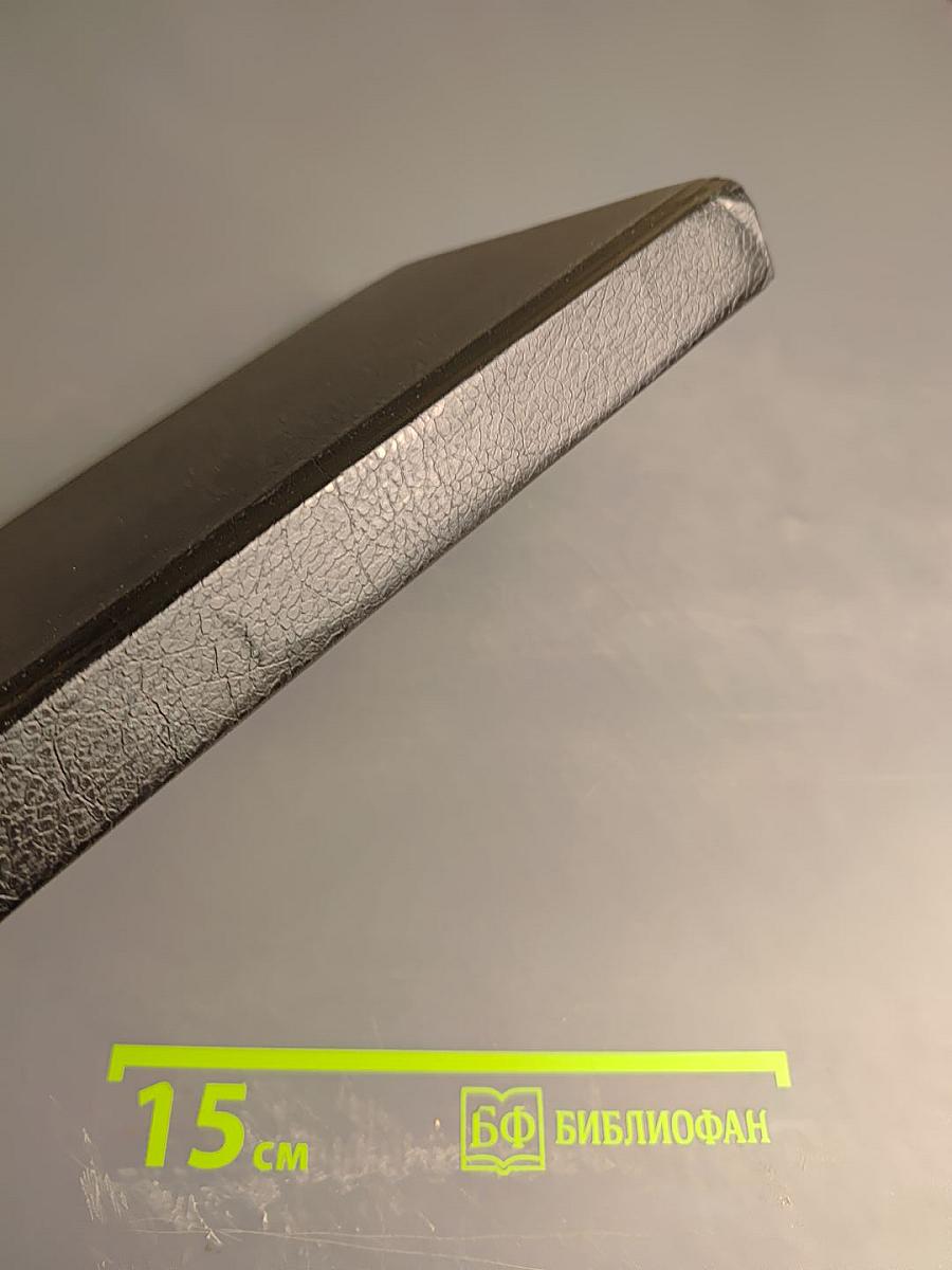 Катрин, графиня де Монсальви